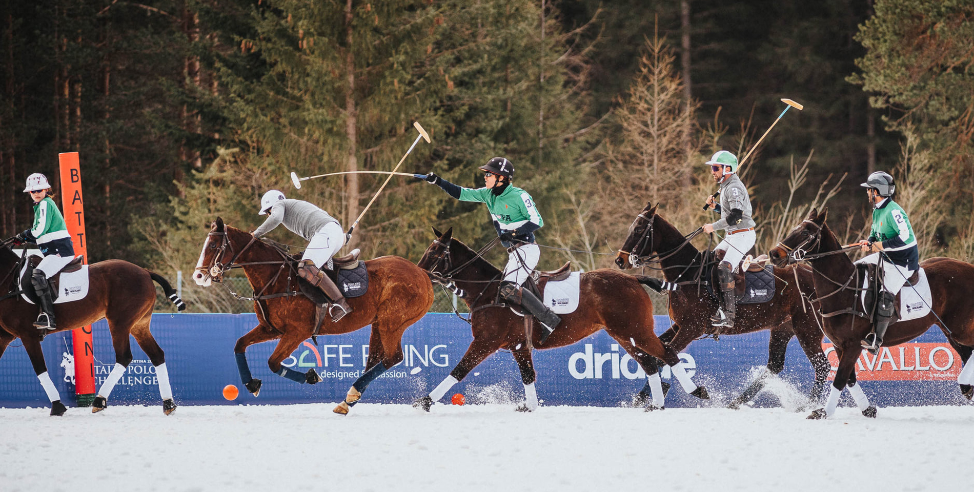 polo_1